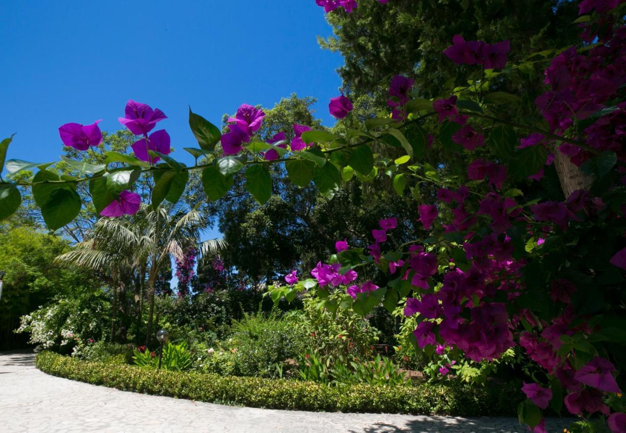 Villa Pampalone - B&B In Dimora Storica Трапани Екстериор снимка