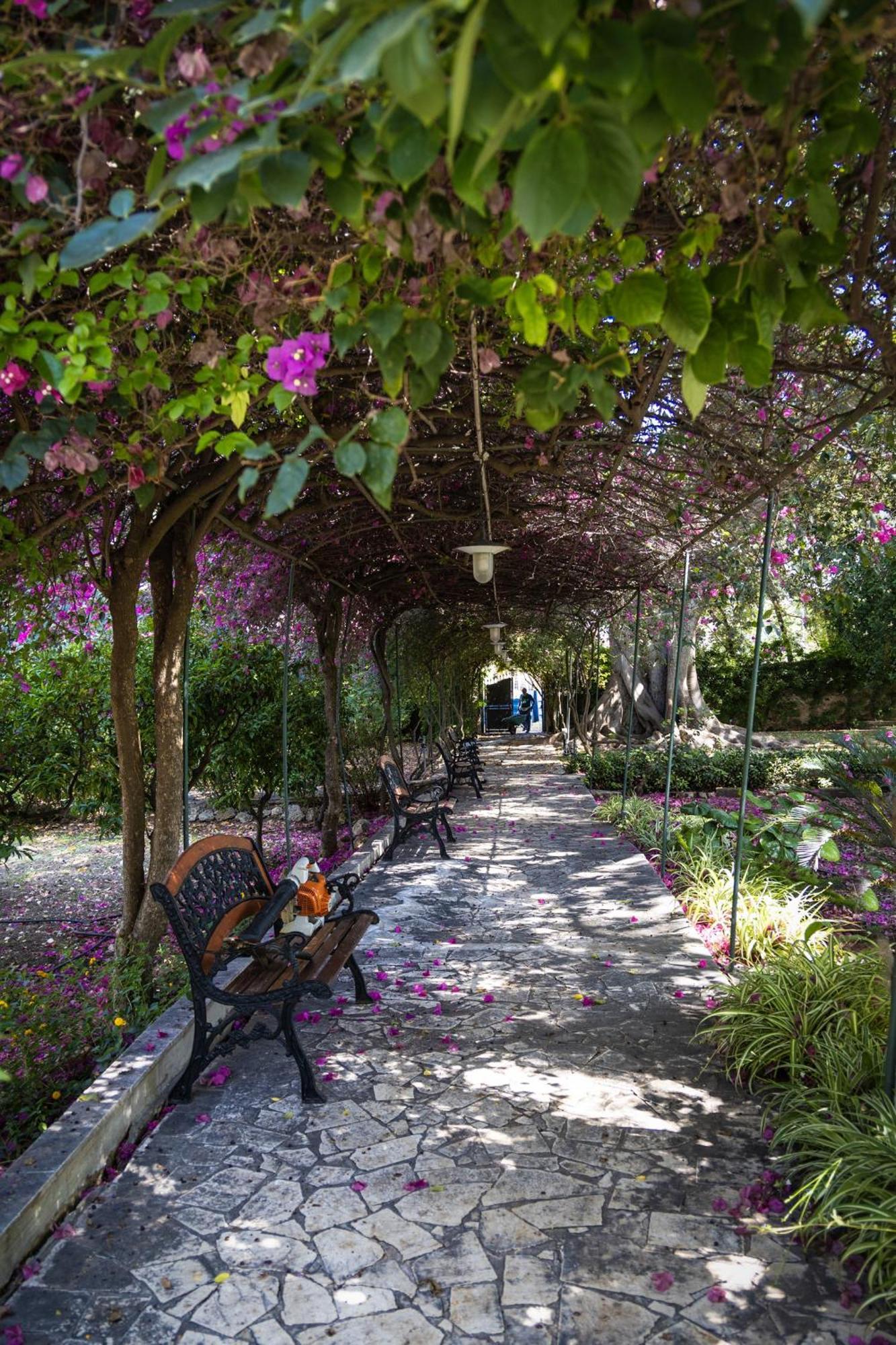 Villa Pampalone - B&B In Dimora Storica Трапани Екстериор снимка